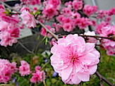 IMG_3714.JPG
