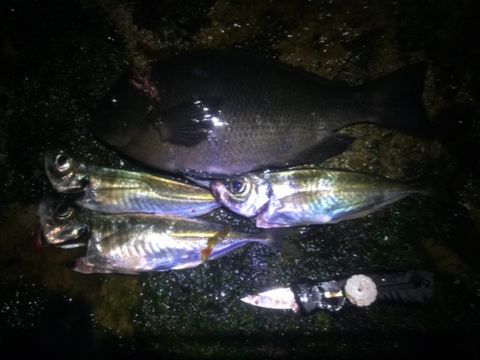 20160205-3.jpg