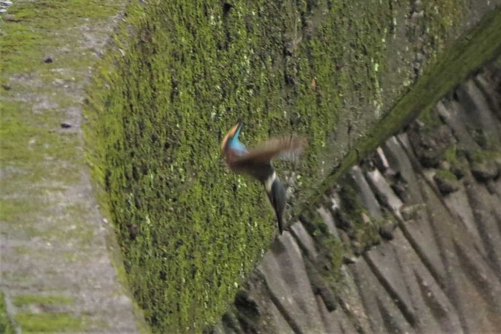 498