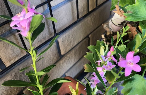rblog-20181029111459-02.jpg