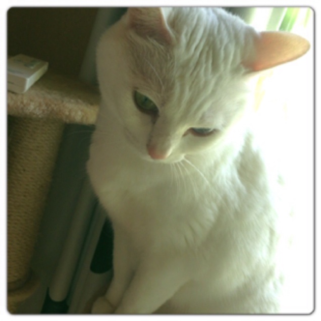 rblog-20130429213828-00.jpg