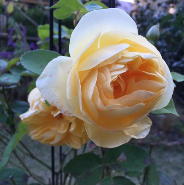 rblog-20151205185726-02.jpg