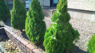 20121122115221.jpg