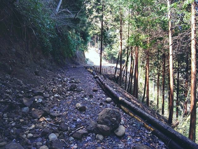 南足柄一周トレラン 2 登山アプリ「YAMAP」で21世紀の森往復20km | 足柄山 徘徊 & 絵手紙 - 楽天ブログ