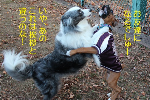 とっくみあい