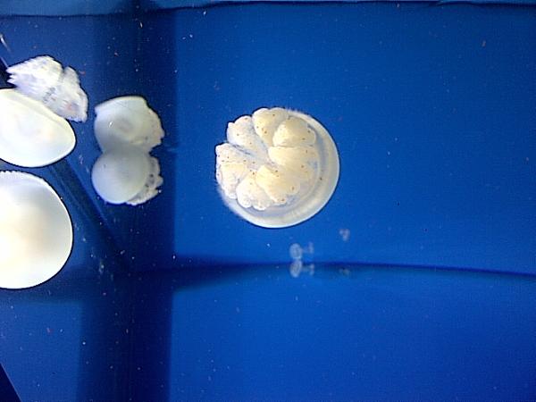 th_IMG-20120822-00181.jpg