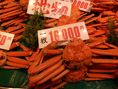 P1080682.jpg