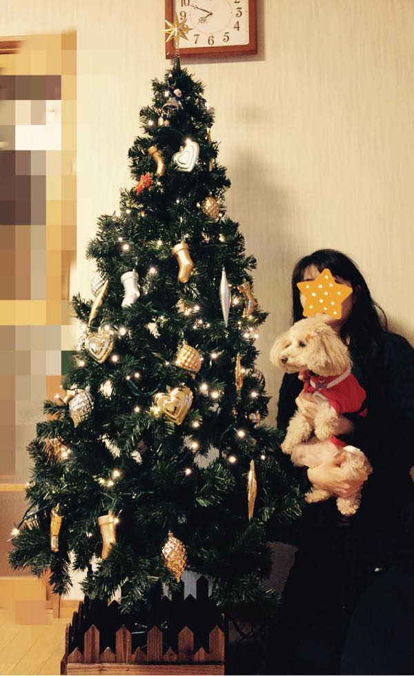 rblog-20161225093513-00.jpg
