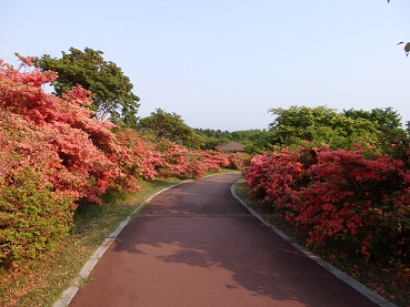 公園内１