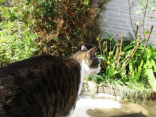 IMG_7316ss.jpg
