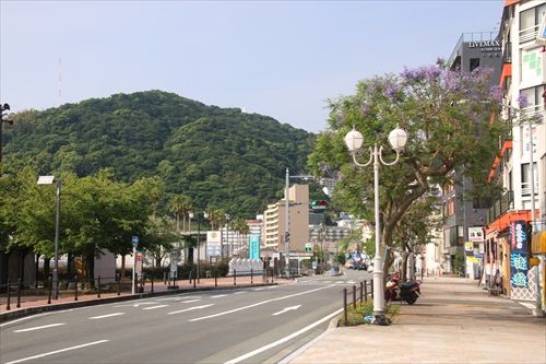熱海のジャカランダ おじん０５２３のヒロ散歩 楽天ブログ