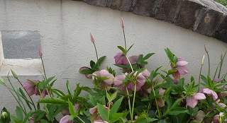 P1160970-ass.jpg