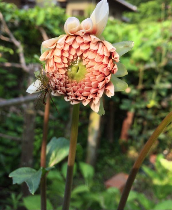 rblog-20170617232810-01.jpg
