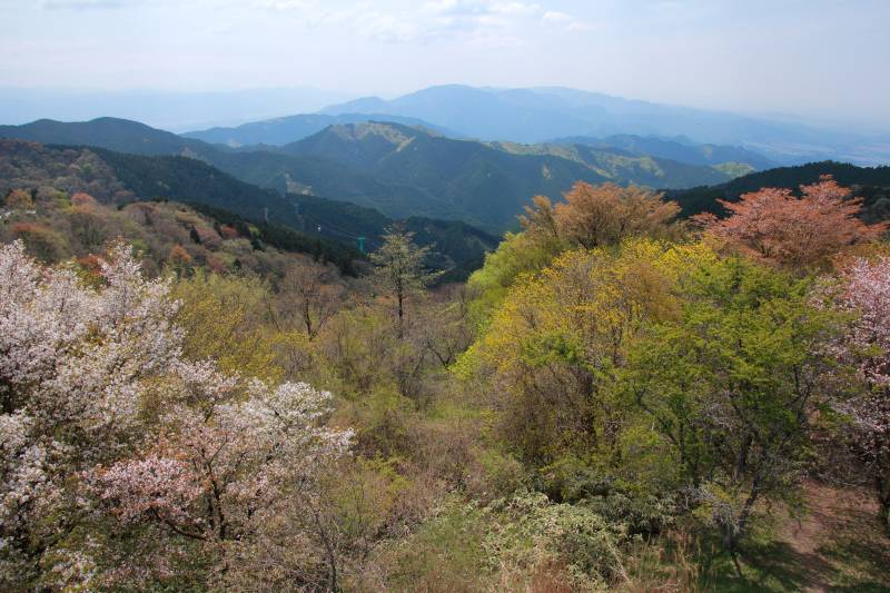 金剛山_003.jpg