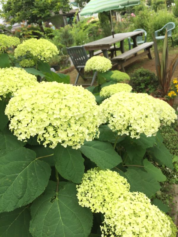 rblog-20180601134824-00.jpg