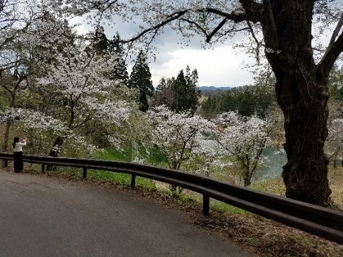 rblog-20180428002254-08.jpg
