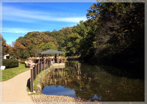久良岐公園