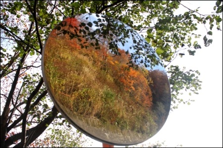 11月-3 ミラーの中の秋