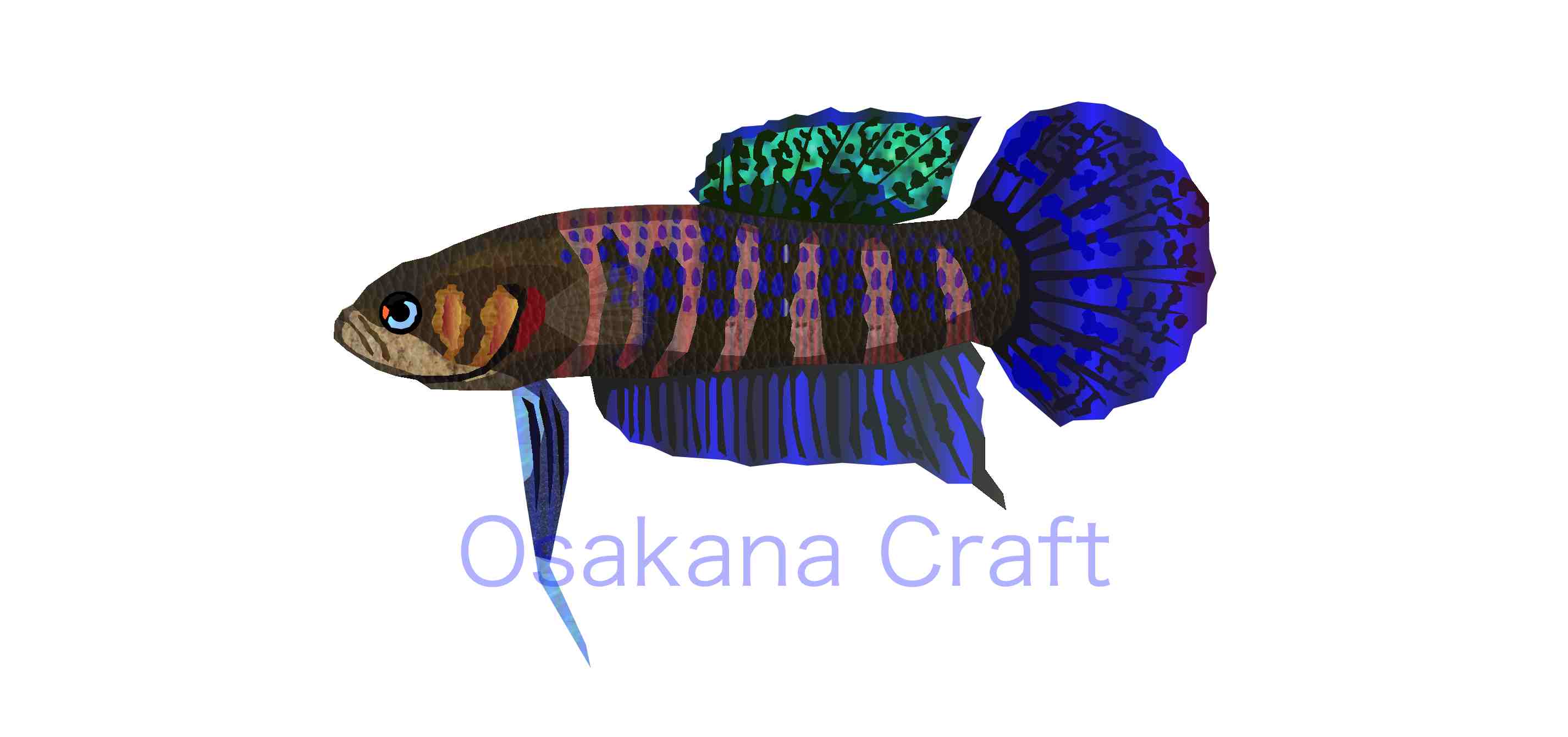 ワイルドベタ Betta Wild | Osakana Craft イラスト熱帯魚図鑑 - 楽天ブログ