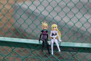 HNI_0003 2013-01-02 16-14.JPG