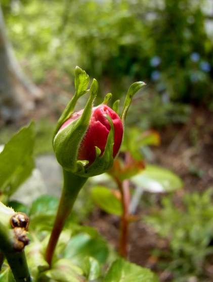 RIMG8638.JPG