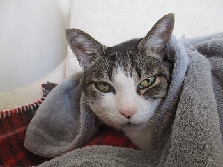 IMG_1561ss.jpg