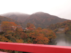 神通峡　11.12　2013
