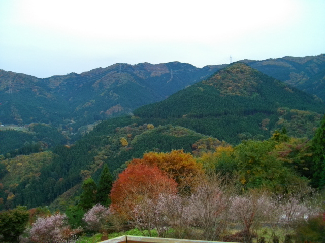 IMGP0307.JPG