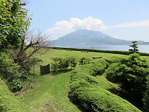 IMG_1284.jpg