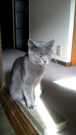 20140201093438.jpg