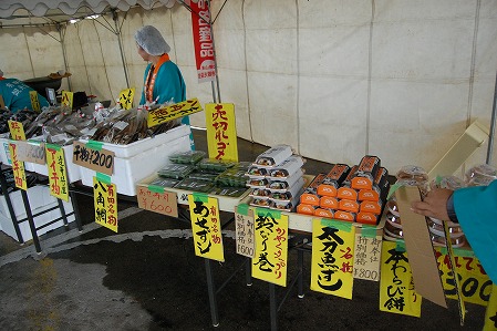 s-DSC_0113.jpg
