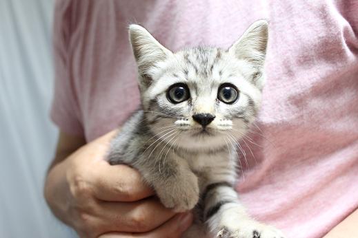 IMG_2776 - コピー.JPG