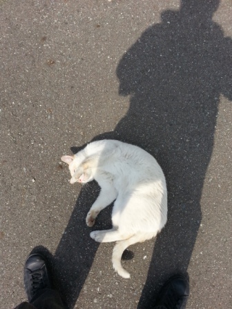 20130429_141001.jpg