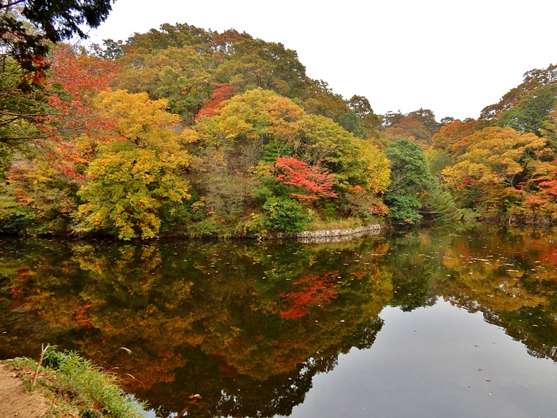 洞川湖35.JPG