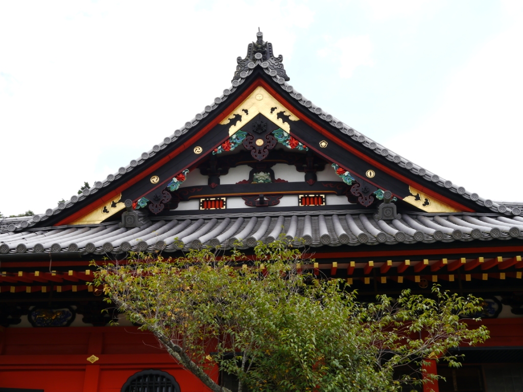 P1080284.JPG
