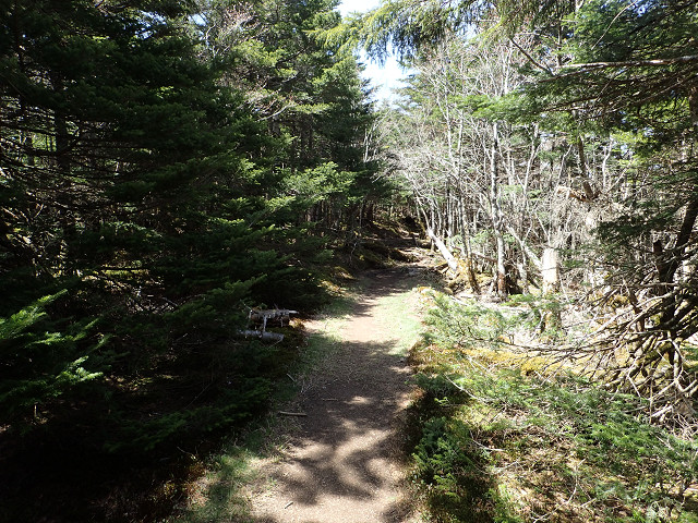 resize0094.jpg