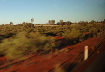 OZ782.jpg