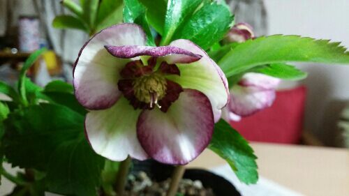 rblog-20170223085401-07.jpg