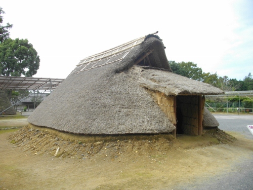 常陸風土記の丘弥生時代 (1) (500x375).jpg