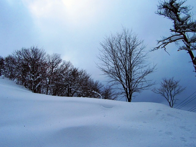 IMG_0826.JPG