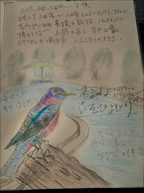 野鳥4.jpg