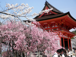 kiyomizu-5