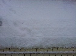 初雪