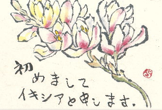 絵手紙：イキシアの花