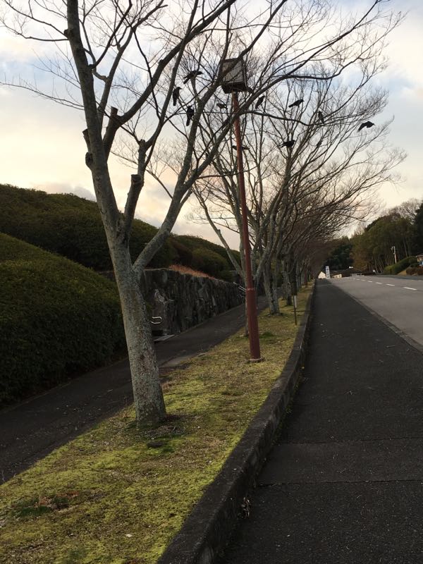 rblog-20170227080357-01.jpg