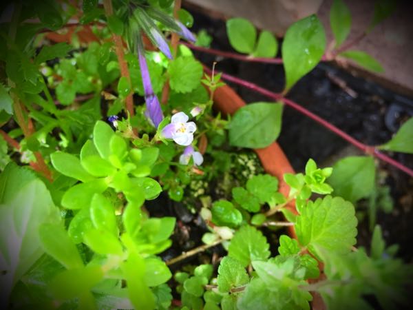 rblog-20160426010130-02.jpg