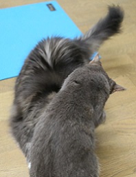 5DA_0847-23.jpg