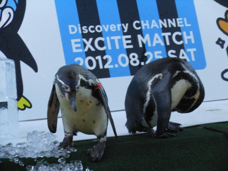 2012.8.26　川崎フロンターレvs名古屋グランパス～難局物語 (1).jpg