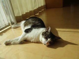 IMG_2252ss.jpg