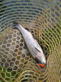 20150613_narago_03.jpg